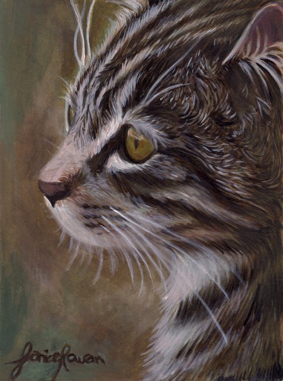 Cat painting by Eternal Drift.
