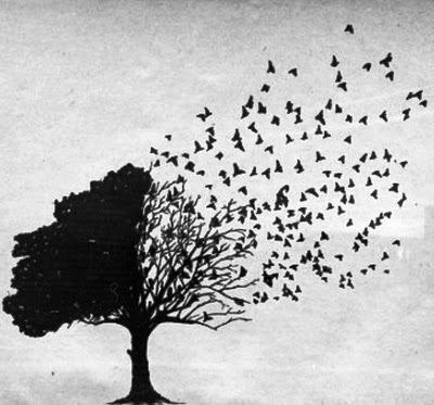 Image from Pinterest.